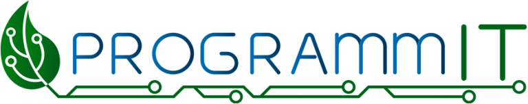 Programm IT
